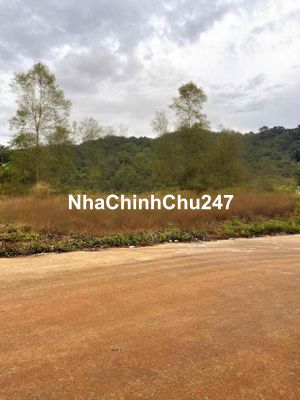 GẤP BÁN RẺ !!! CHÍNH CHỦ BÁN ĐẤT BÌNH PHƯỚC