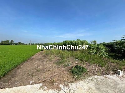 Chính Chủ bán gấp lô đất thổ 169m2 SHR giá 430tr Phước Đông Cần Đước