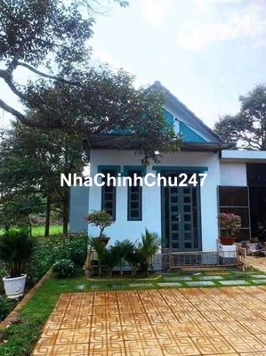 CHỦ CŨ CẦN BÁN GẤP ĐẤT 1200M2 SỔ HỒNG RIÊNG CÓ 200m2 THỔ CƯ