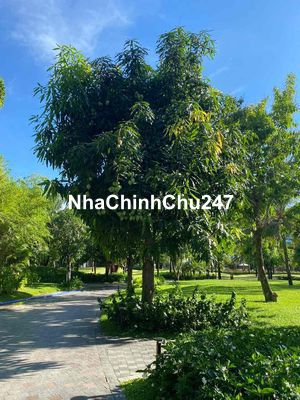 Chính chủ bán nhà 3 tầng kiệt 297 Truong Chinh, nhà kiên cố