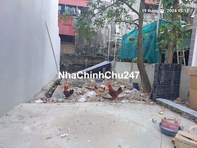 Chủ cũ tìm chủ mới 126m2, mt5m, 4.67 tỷ, Mai Đình, Sóc Sơn.