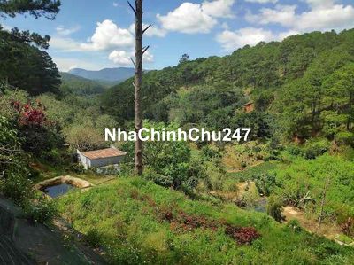 Chia tài sản cần bán Gấp 200m2 300Triệu đèo Mimosa Đà Lạt