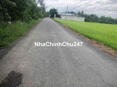 Chính Chủ Cần Bán 2466m2 Thổ, Giá 2,8 Tỷ