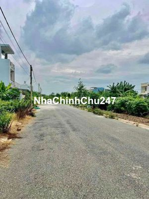 2000m2 vườn cam cần bán giá 200tr