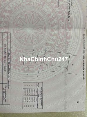 Đất Cần Giờ chính chủ cần bán