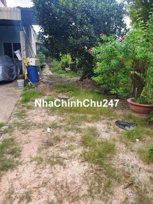 CHỊ LIỄU CẦN TIỀN GỬI CHO CON BÁN NHÀ VƯỜN 404m2 HÌNH THẬT CHỦ GỬI