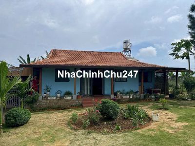 Chính chủ kẹt tiền bán rẻ homstay nghỉ dưỡng ở trung tâm gần chùa Trà