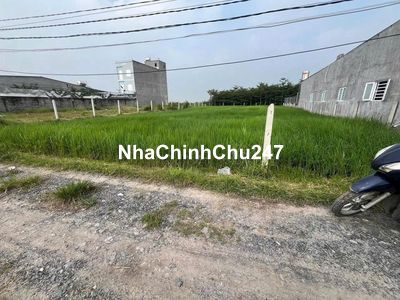 CHỦ CẦN BÁN GẤP: ( 15m x 30m), Full Thổ. Một sẹc ngắn nhựa Lục Viên