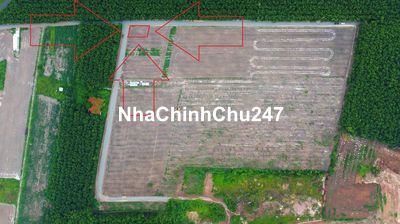 Chính chủ bán sỉ 20 chô Minh Thành Chơn Thành Bình Phước