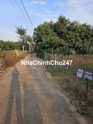 Đất thổ cư chính chủ bán