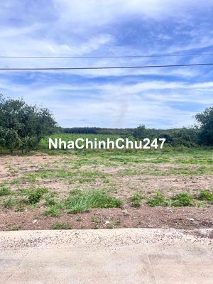 CÒN *** 1 LÔ CHÍNH CHỦ NGAY TUYẾN SỐ 4 - GIÁ 220TR