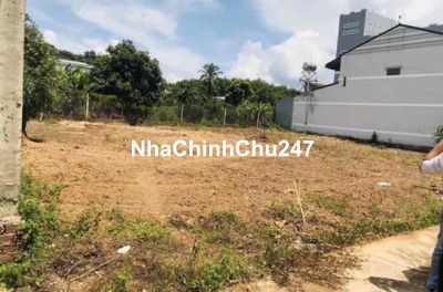 ĐẤT ĐẸP CẦN RA NHANH 300m2 TẠI ĐỒNG PHÚ BÌNH DƯƠNG CÓ SHR