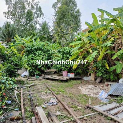 đất đã thổ cư 828m. giá rẽ cần bán nhanh