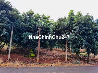 Chính chủ cần bán: Đất Sào Hoà Xuân, diện tích 2005,7m2