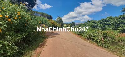 Chính chủ bán 700m2 Đất mê linh sẵn 100 thổ cư chỉ 1.55 tỷ