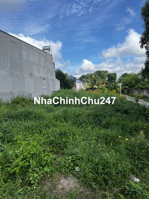 Chủ ngộp cần ra gấp lô đất 114m2, SHR, 1 tỷ 035, Tân Thới Nhì, Hóc Môn