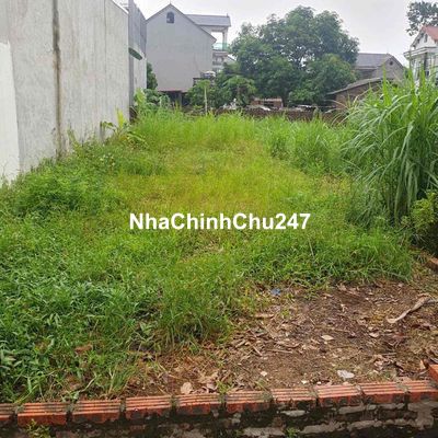 CC NHỜ BÁN 74m2 đất YÊN NINH HIÊN NINH SS ĐƯỜNG THÔNG RA BÌA LÀNG