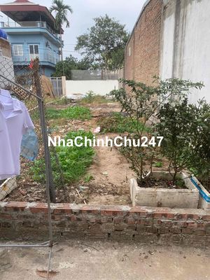 CC NHỜ BÁN 48,9m2 Full THỔ CƯ XUÂN BÁCH, QUANG TIẾN, SÓC SƠN, HN