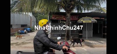 Ngộp chính chủ cần bán đất vị trí KD đắc địa