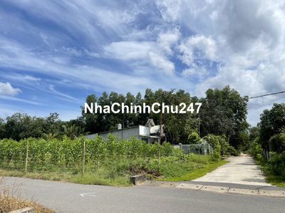 Bán Đất Thổ Cư 100% X. Tân Hiệp, Long Thành, Dt: 5x20m, Giá 1tỷ3/Nền