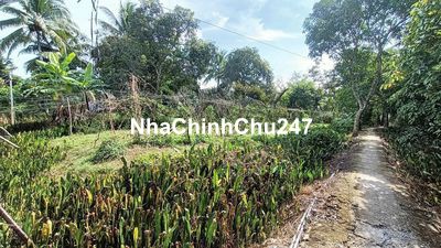 kẹt tiền cần bán miếng đất chính chủ có từ bao đời chưa qua đầu tư