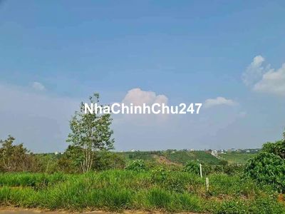 Đất thổ cư mặt tiền Nguyễn An Ninh_ Đamri