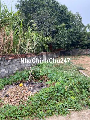 CHÍNH CHỦ BÁN 75M2 ĐẤT HIỀN NINH – TẶNG 25M ĐẤT ĐỂ XE OTO