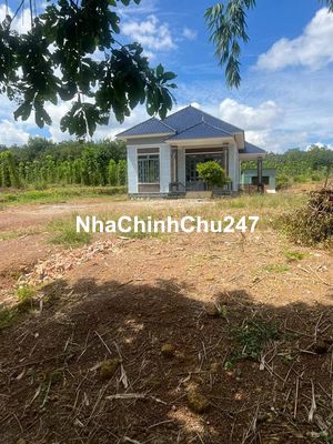 Chính Chủ Bán Lô Góc 2MT (18x98=1073m2) SHR, 60M MT Đường, Nhà Hiện