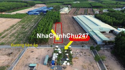 Bán gấp 20x100m, 300m thổ, ngay ngã 3 Giang Điền, chỉ 8 tỷ TL