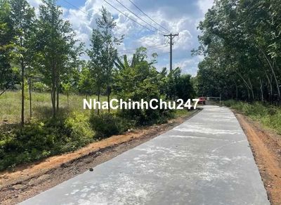 CHÍNH CHỦ ĐỊNH CƯ NƯỚC NGOÀI CẦN BÁN GẤP SÀO ĐẤT 800M2, 100M2 THỔ CƯ