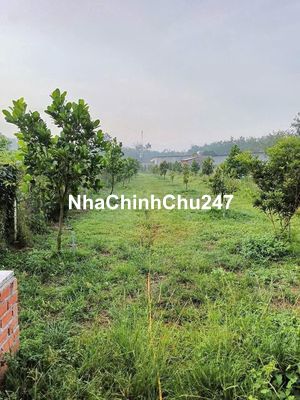 Kẹt tiền cần bán gấp mảnh vườn 2202m2 có thổ cư có cây ăn trái