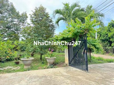 Chủ xuất cảnh bán gấp nhà vườn 1200m2 sổ riêng giá 650tr