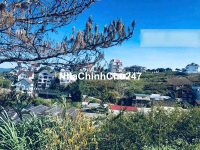 Vỡ nợ chính chủ cần ra lô đất Đà Lạt trong 3 ngày view rừng thông