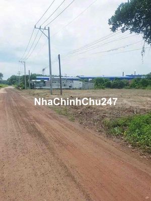 đất chủ ngộp