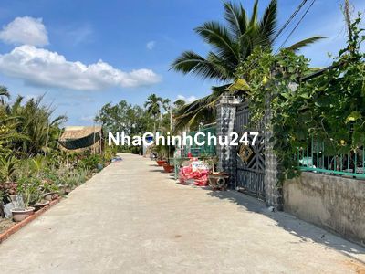 250M2 THỔ CƯ MẶT TIỀN ĐƯỜNG XE HƠI, KHU ĐÔNG DÂN CƯ,SHR, GIÁ RẺ 1,6 TỶ