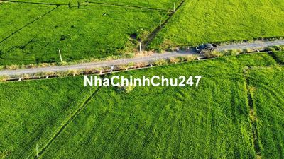 Bán lô đất lúa chính chủ 5000m vị trí đắc địa siêu đẹp 🌾