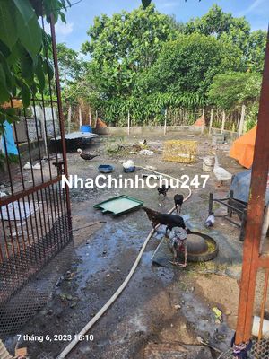 Chính chủ cần bán 172m2 đất ở tân thạnh đông củ chi