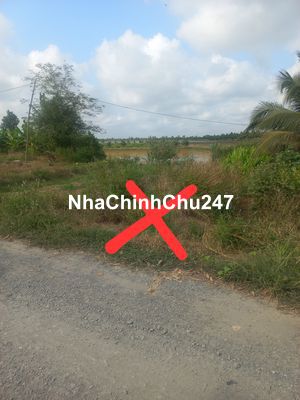 Bán 5,515m2 thổ +2,000L, đường xe tải, Mỹ Bình, Đức Huệ, LA