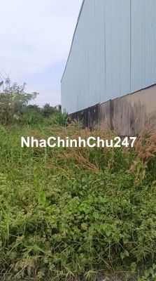 Đất thổ cư cần bán ấp Giồng Lớn,x. Mỹ Hạnh Nam,h. Đức Hòa,tỉnh Long An