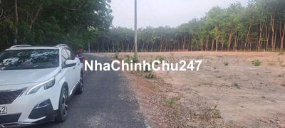 Chính chủ bán 250m2 thổ cư, cách chợ trường học 500m, dân đông.