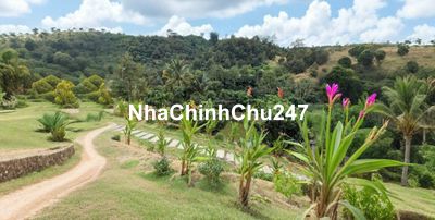 bán lô đất biệt thự view suối thích hợp làm homestay giá 500 triệu/nền