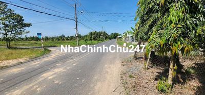 Đất nền cho nhà đầu tư