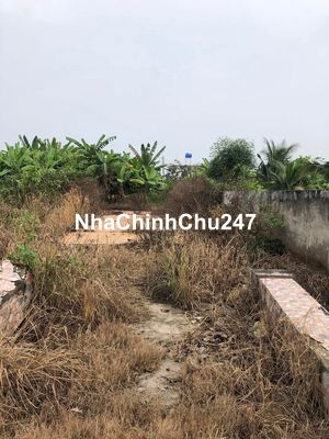 121M2 THỔ CƯ, 2 MẶT TIỀN - ĐƯỜNG Ô TÔ 7 CHỖ CHẠY VÔ TƯ - CHỈ 1.55 TỶ