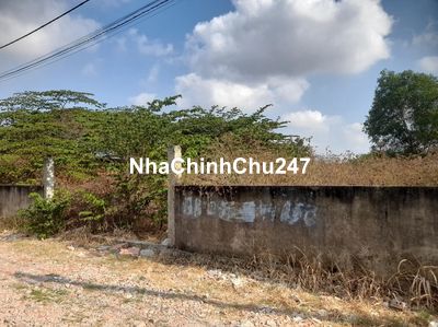 Bán đất Ful thổ HXT đường 6D,Vĩnh Lộc B,Bình Chánh,981m2, hạ còn >17tỷ