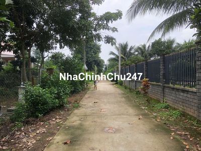 Chính chủ - 1180m2 Trà Cổ giai đoạn 2, ấp 5, phú điền, tân phú