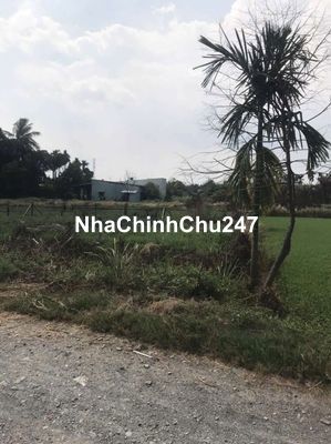 Chính Chủ Bán đất thổ cư Mặt Tiền Sông Rạch Tra Bình Mỹ Củ Chi