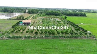 Chính chủ cần bán vùng đất Long Mạch