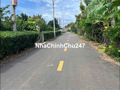 Chính chủ cần bán đất Long Tân - Đất Đỏ