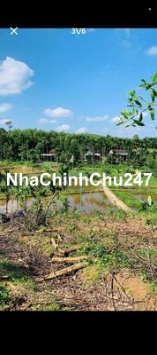 Hàng đẹp giá rẻ views đồng Chính chủ cần bán  7000m2 đất cây lâu năm