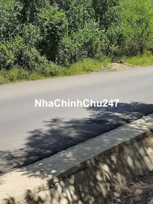 Chính chủ bán 7 ha tặng keo 3 năm bám mặt tiền đường Dt 609 liên huyện